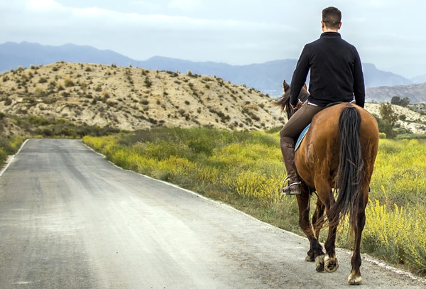 Liburan Menunggang Kuda di Spanyol